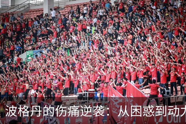 波格丹的伤痛逆袭：从困惑到动力，重返赛场的励志故事